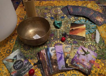 Une petite pause au nid